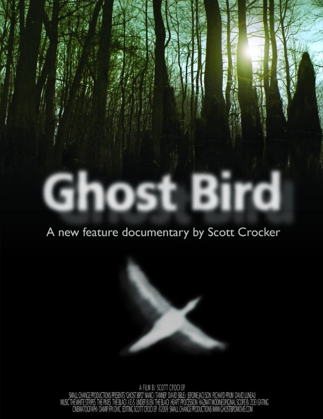 ghost bird 1.jpg